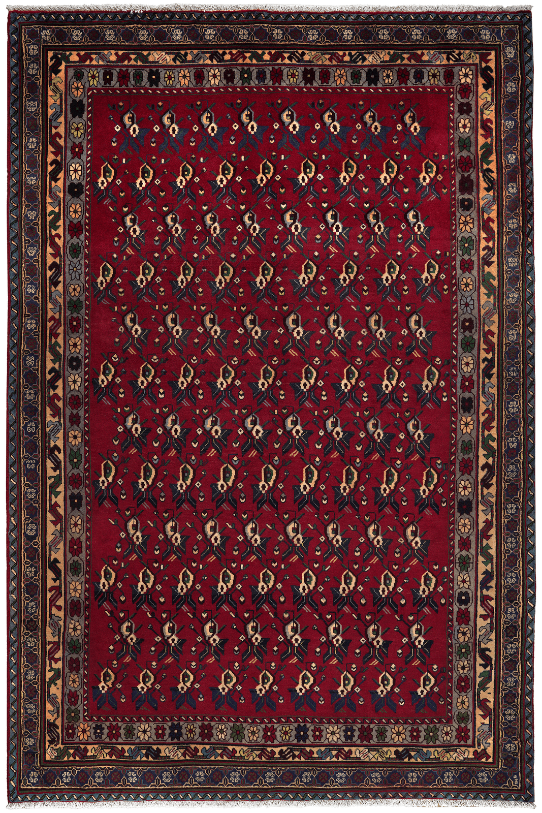 Afshar — Hand-knotted, 198x296 cm, Red, 100% Virgin Wool | Main view