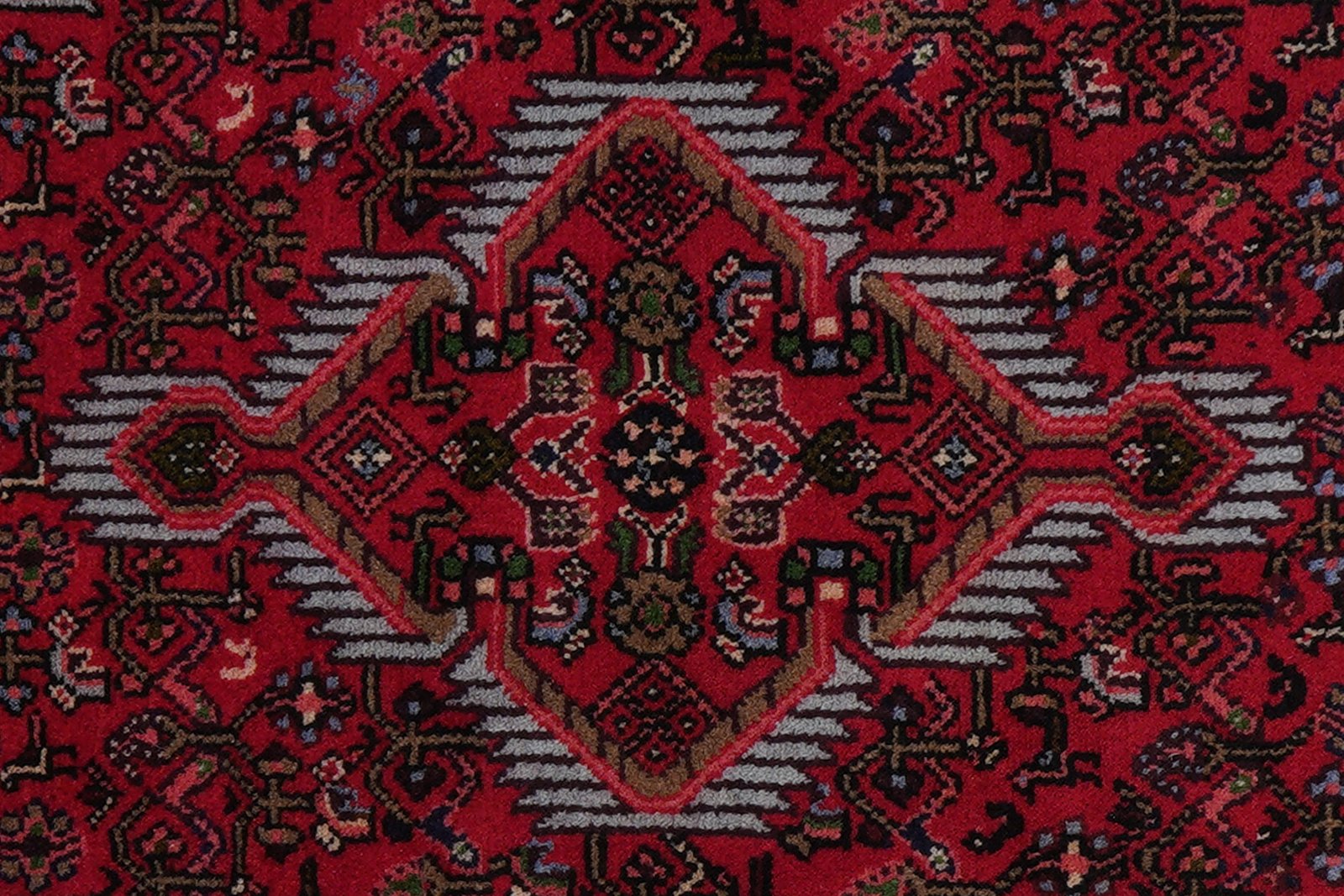 Assadabad — Hand-knotted, 74x124 cm, Red, 100% Virgin Wool | View 6