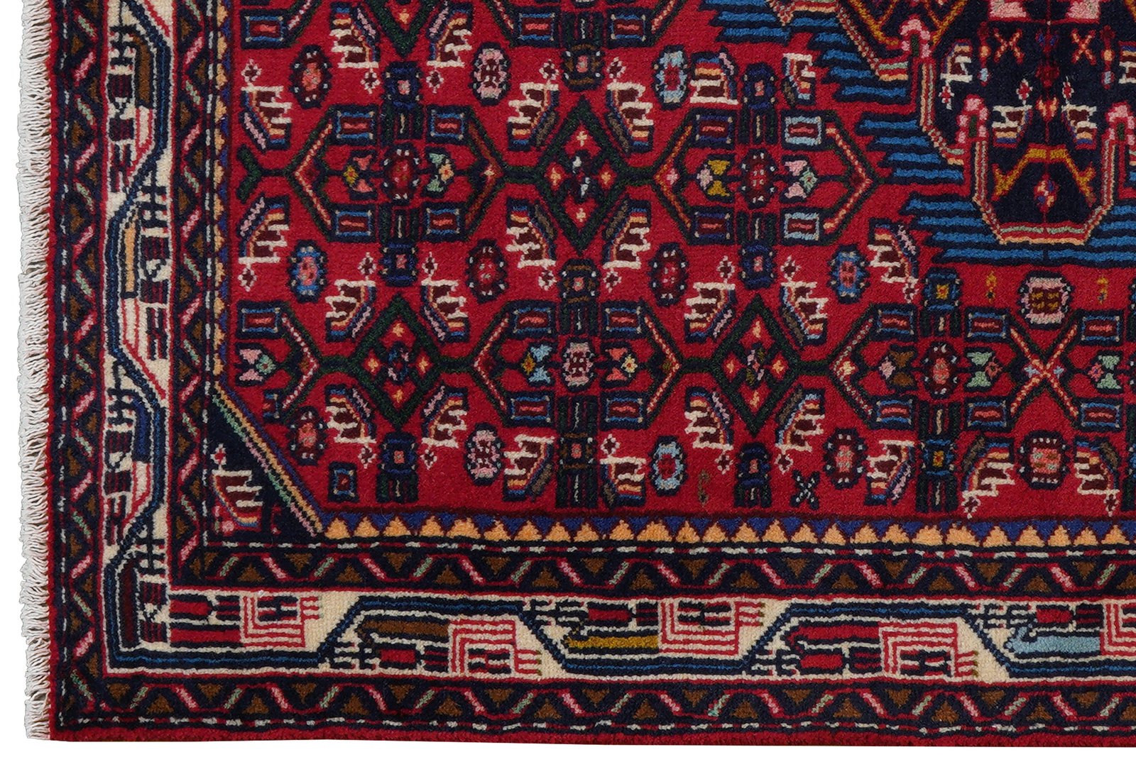 Assadabad — Hand-knotted, 108x143 cm, Red, 100% Virgin Wool | View 3