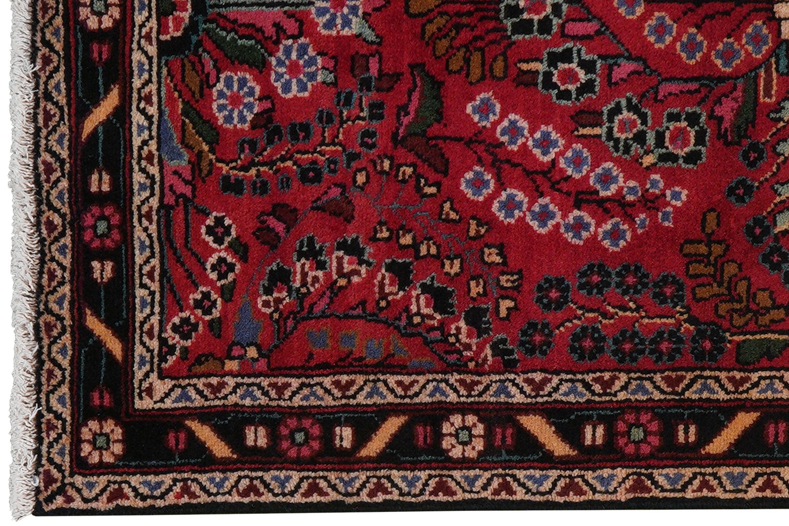 Dardjazin — Hand-knotted, 83x130 cm, Red, 100% Virgin Wool | View 3