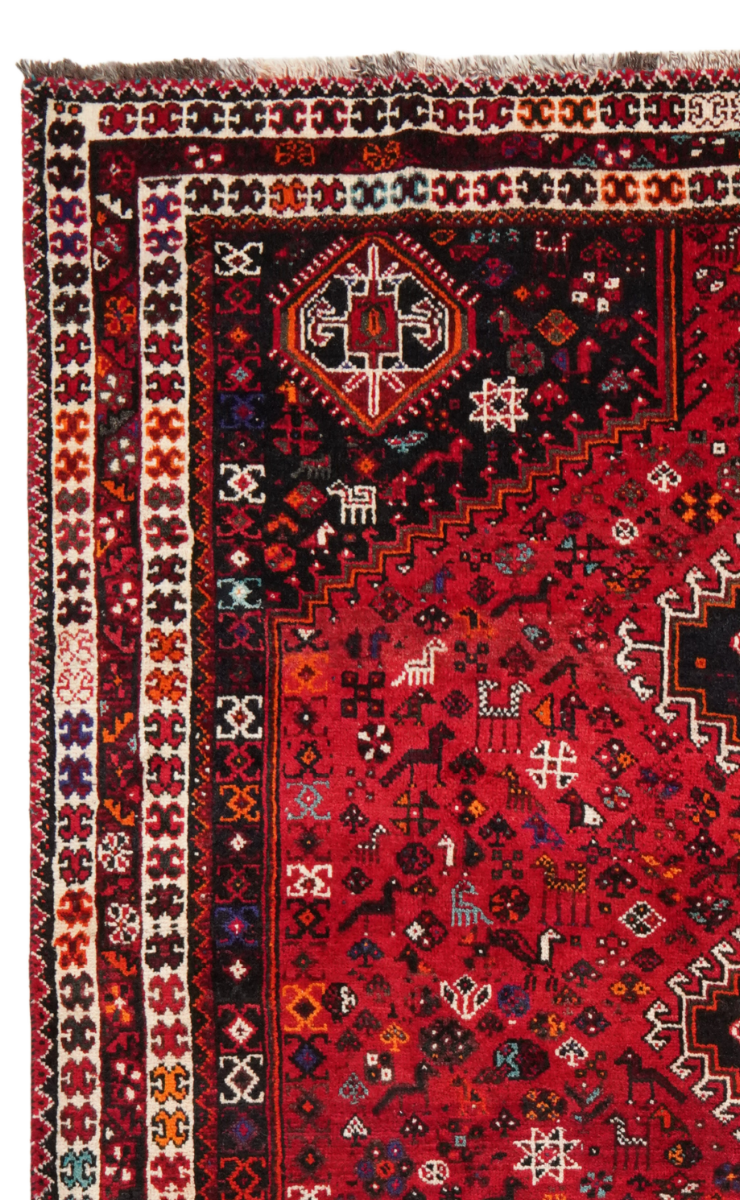 Shiraz — Handgefertigt, 318x227 cm, Beige, 100% Virgin Wool | View 4