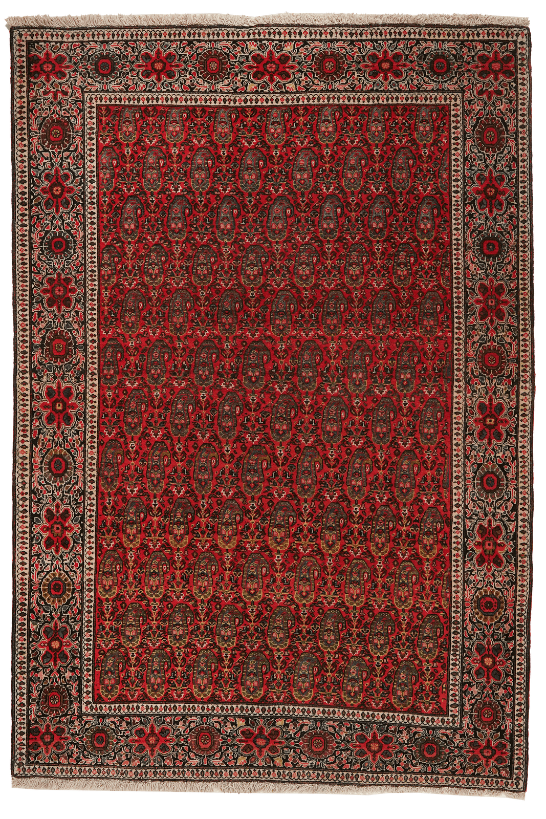 Farahan — Hand-knotted, 105x154 cm, Red, 100% Virgin Wool | Main view