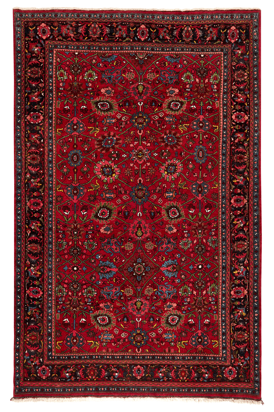 Bidjar — Hand-knotted, 145x220 cm, Red, 100% Virgin Wool | Main view