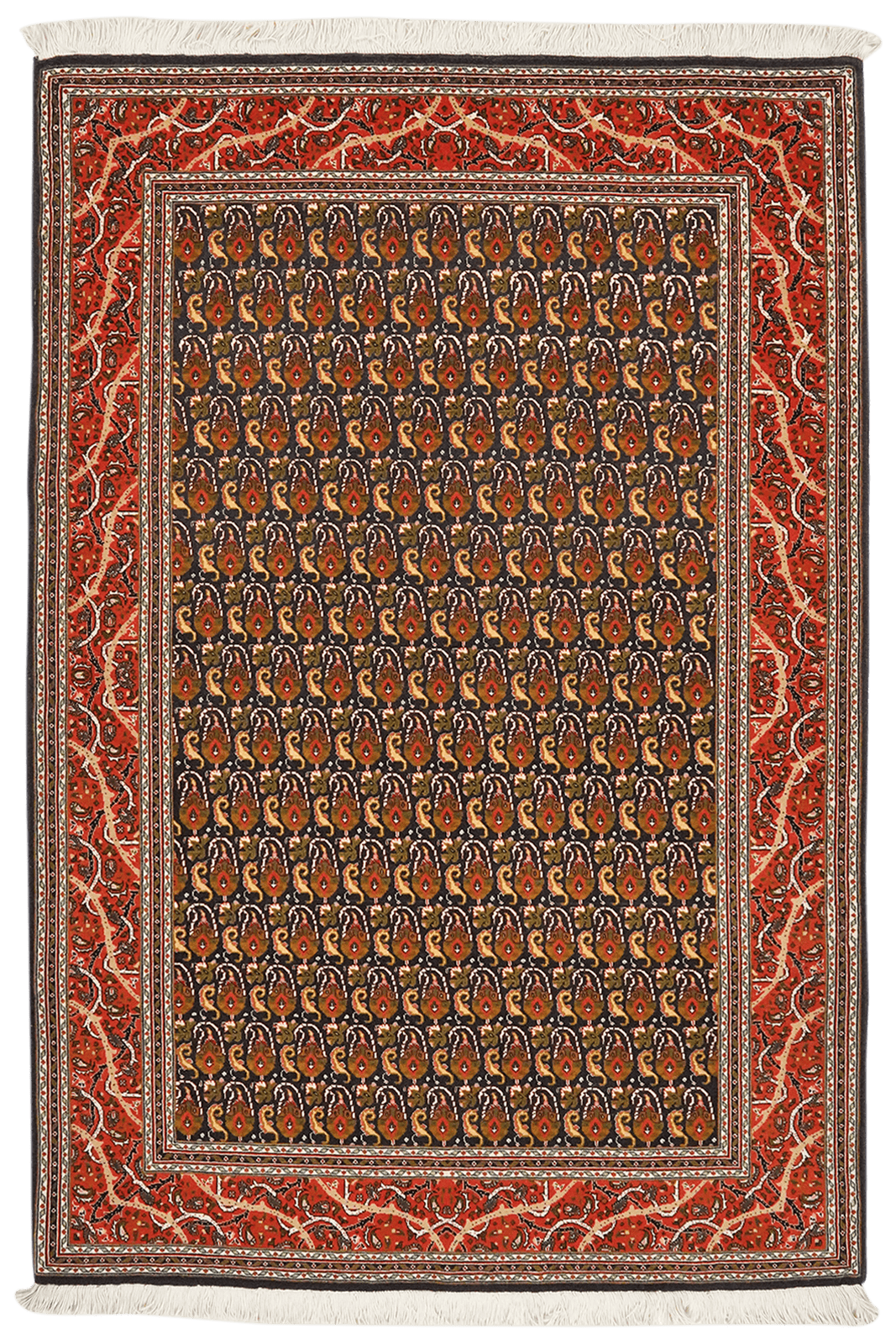 Tabriz 50 Raj — Hand-knotted, 102x151 cm, Black, 100% Virgin Wool | Main view