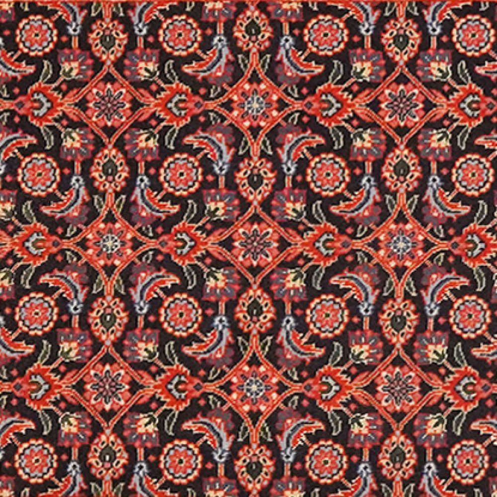 Tabriz 50 Raj — Hand-knotted, 65x199 cm, Black, 100% Virgin Wool | View 4