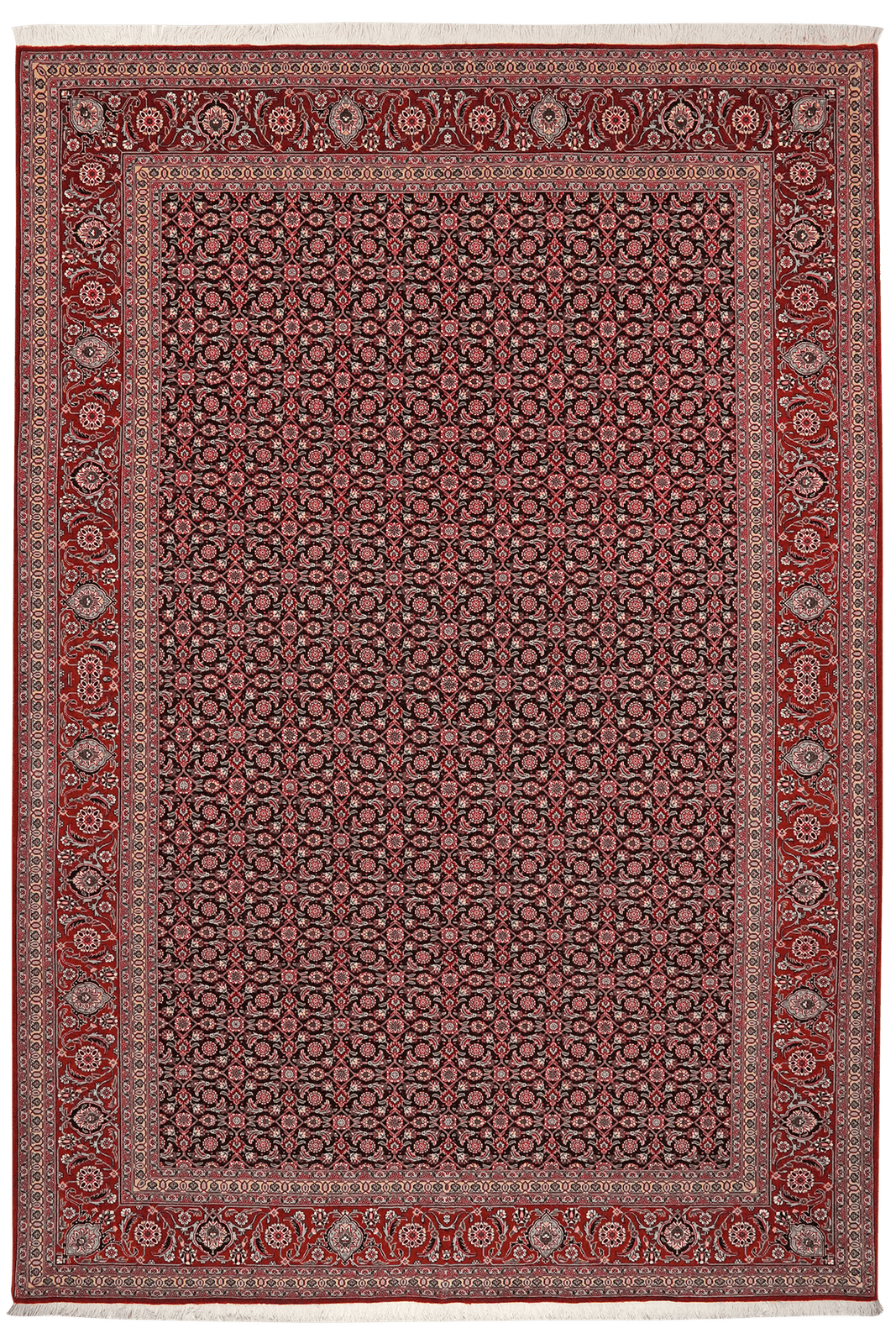 Tabriz 50 Raj — Hand-knotted, 202x289 cm, Black, 100% Virgin Wool | Main view