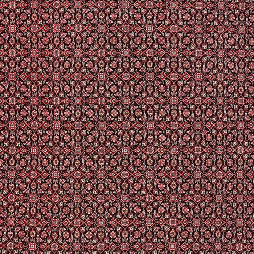 Tabriz 50 Raj — Hand-knotted, 202x289 cm, Black, 100% Virgin Wool | View 4