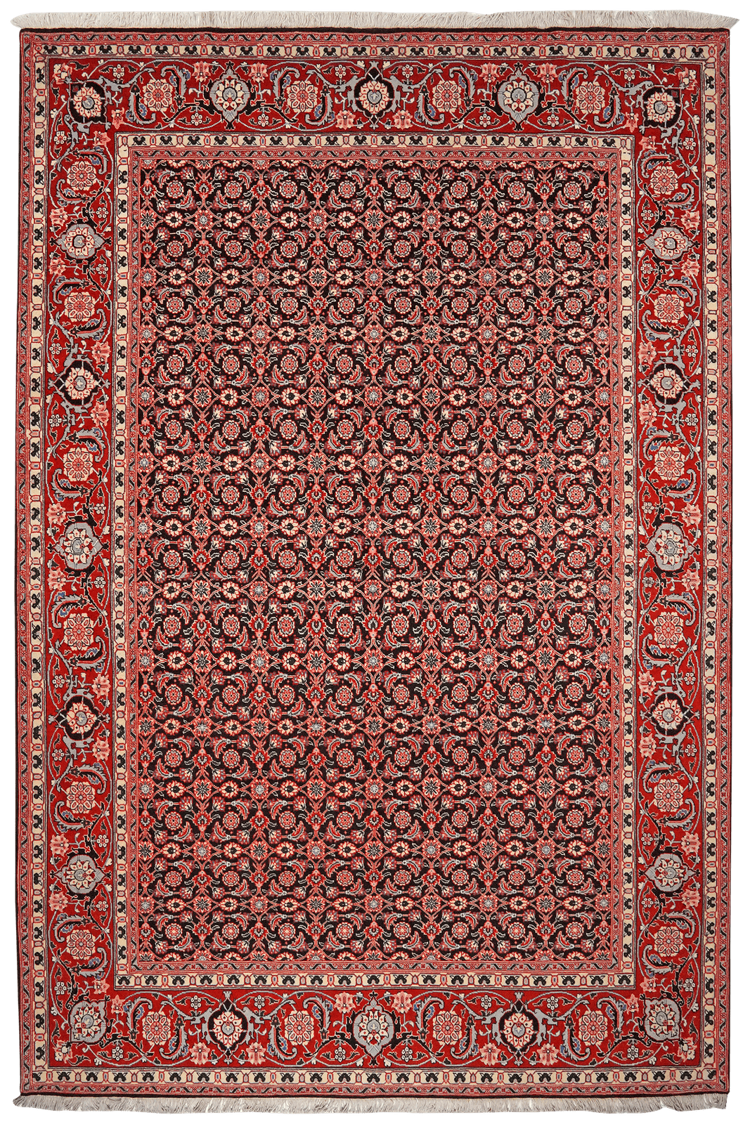 Tabriz 40 Raj — Hand-knotted, 204x299 cm, Black, 100% Virgin Wool | Main view