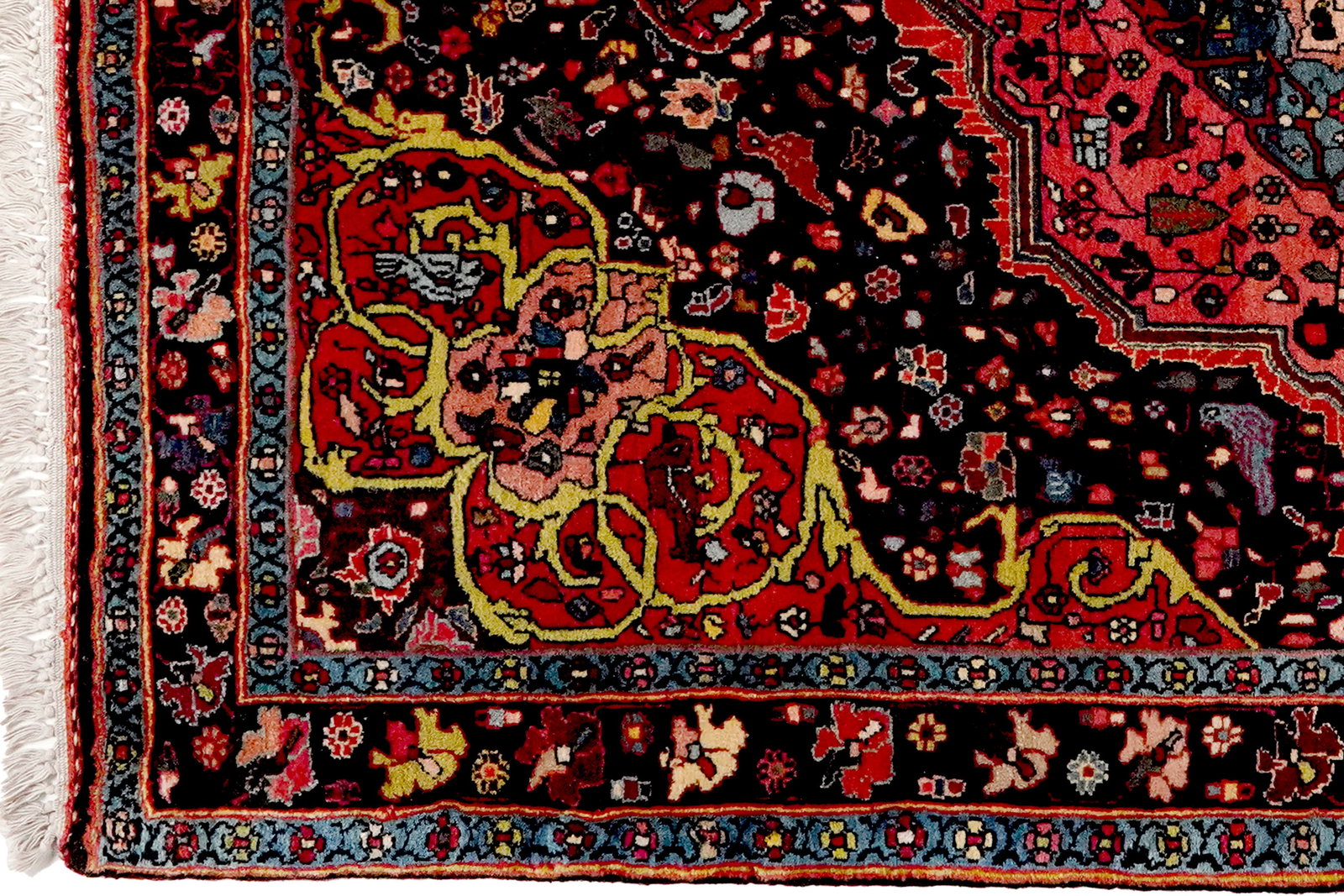 Bidjar — Handgefertigt, 159x113 cm, Blau, 100% Virgin Wool | View 4