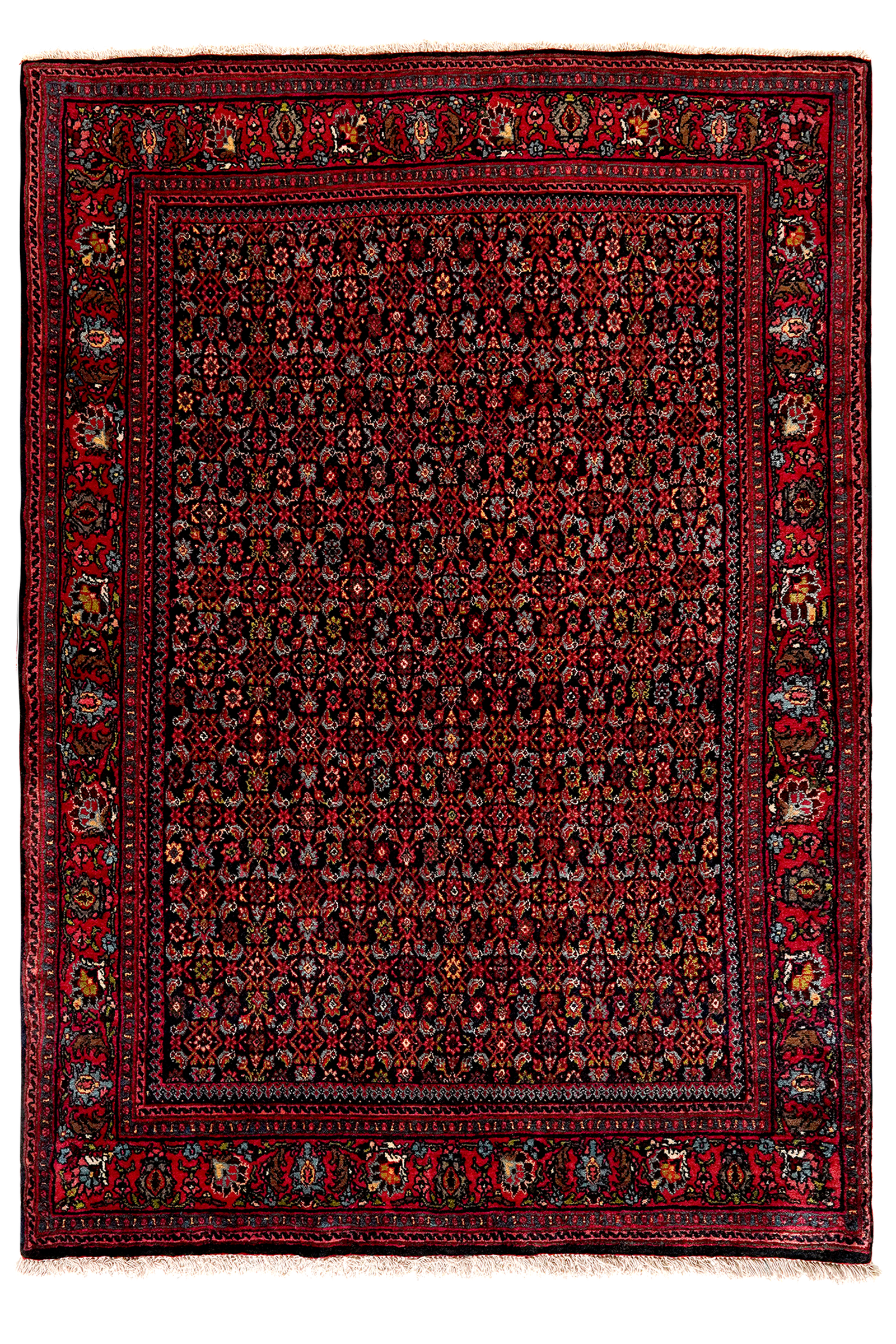 Bidjar — Handgefertigt, 170x121 cm, Rot, 100% Virgin Wool | Main view