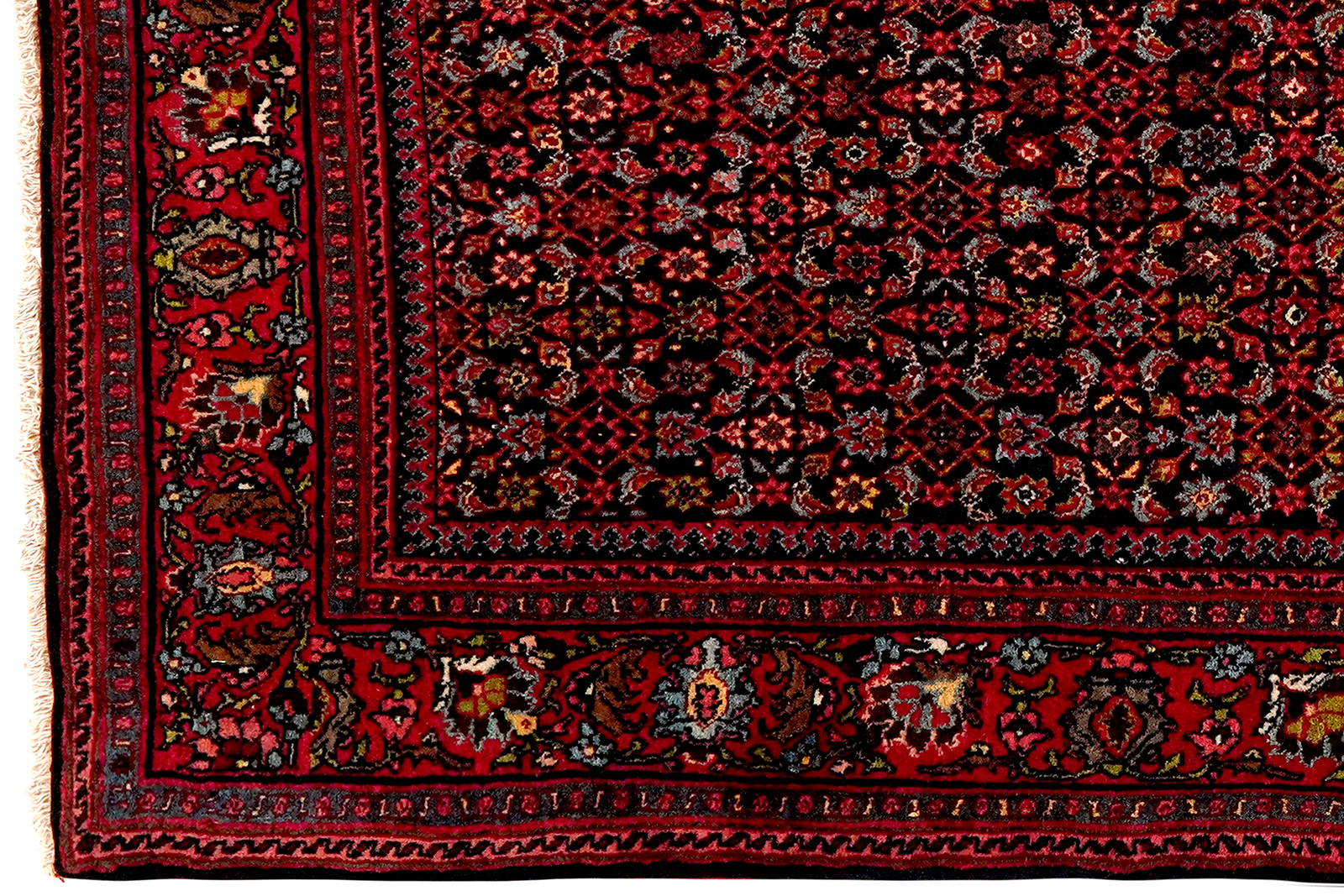 Bidjar — Handgefertigt, 170x121 cm, Rot, 100% Virgin Wool | View 4