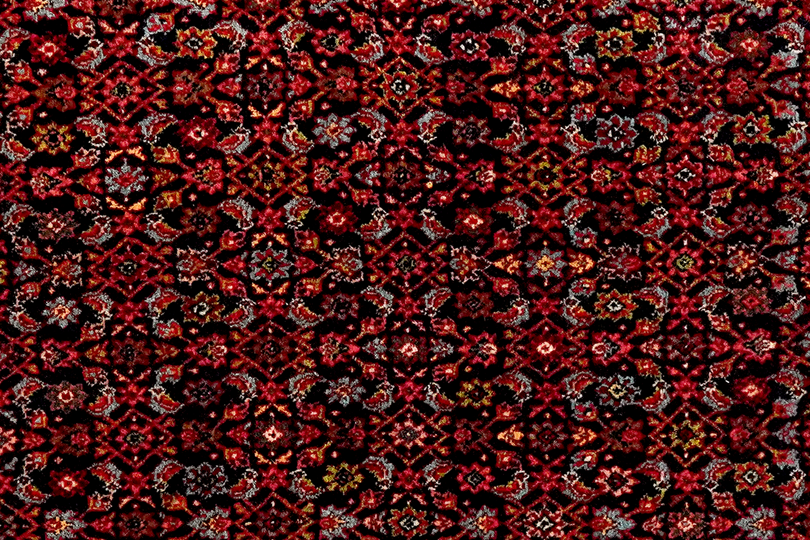Bidjar — Handgefertigt, 170x121 cm, Rot, 100% Virgin Wool | View 5