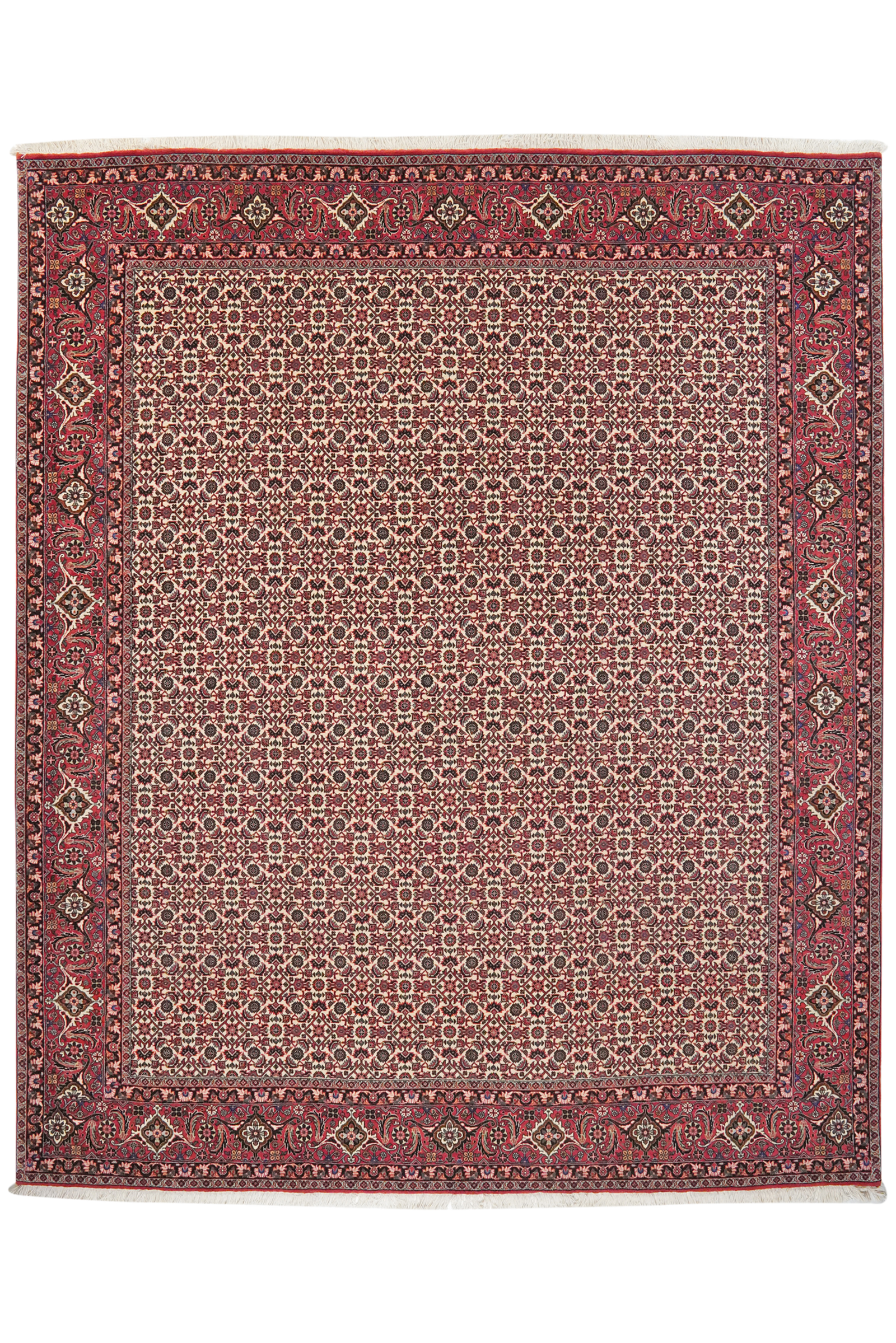 Bidjar — Handgefertigt, 248x207 cm, Rot, 100% Virgin Wool | Main view