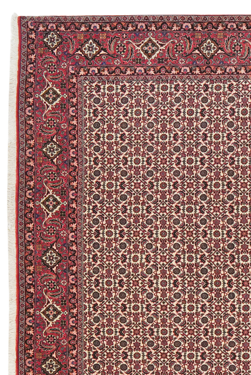 Bidjar — Handgefertigt, 248x207 cm, Rot, 100% Virgin Wool | View 4