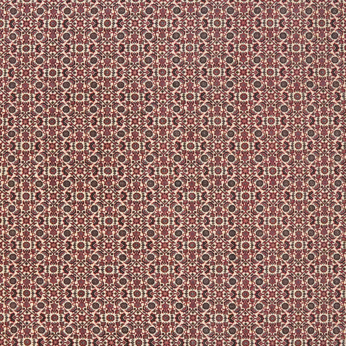 Bidjar — Handgefertigt, 248x207 cm, Rot, 100% Virgin Wool | View 5