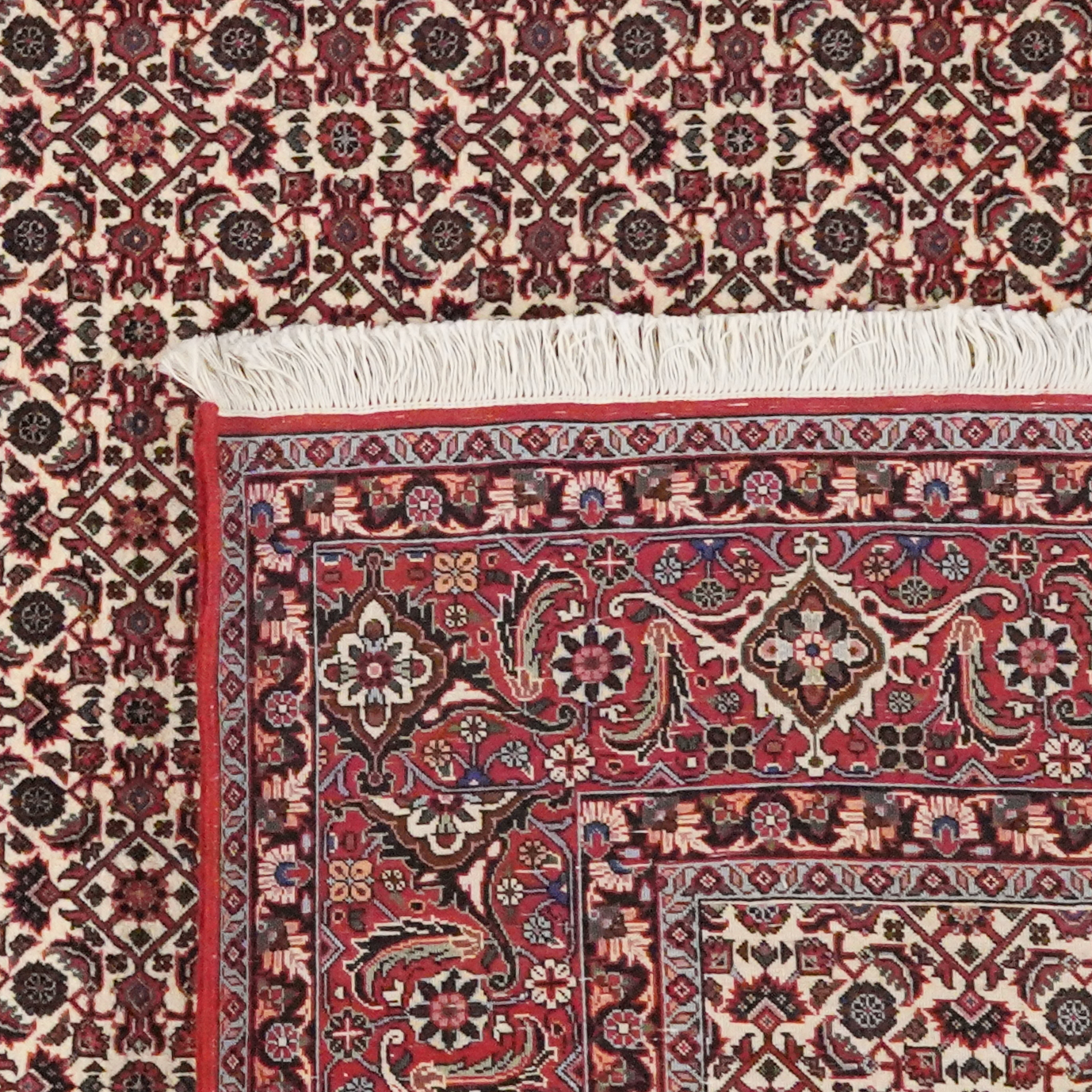 Bidjar — Handgefertigt, 248x207 cm, Rot, 100% Virgin Wool | View 6