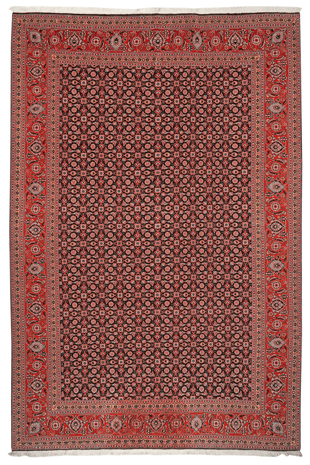 Tabriz 50 Raj — Hand-knotted, 199x294 cm, Orange, 100% Virgin Wool | Main view