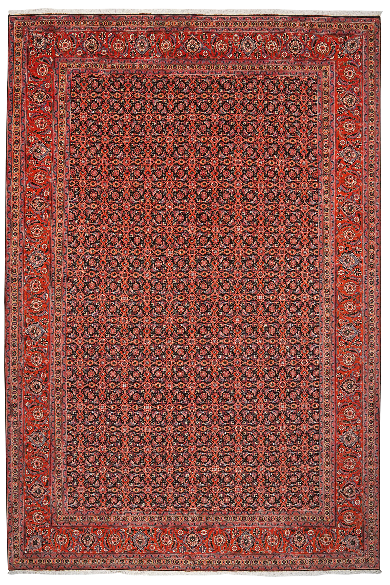 Tabriz 50 Raj — Handgefertigt, 297x202 cm, Rot, 100% Virgin Wool | Main view