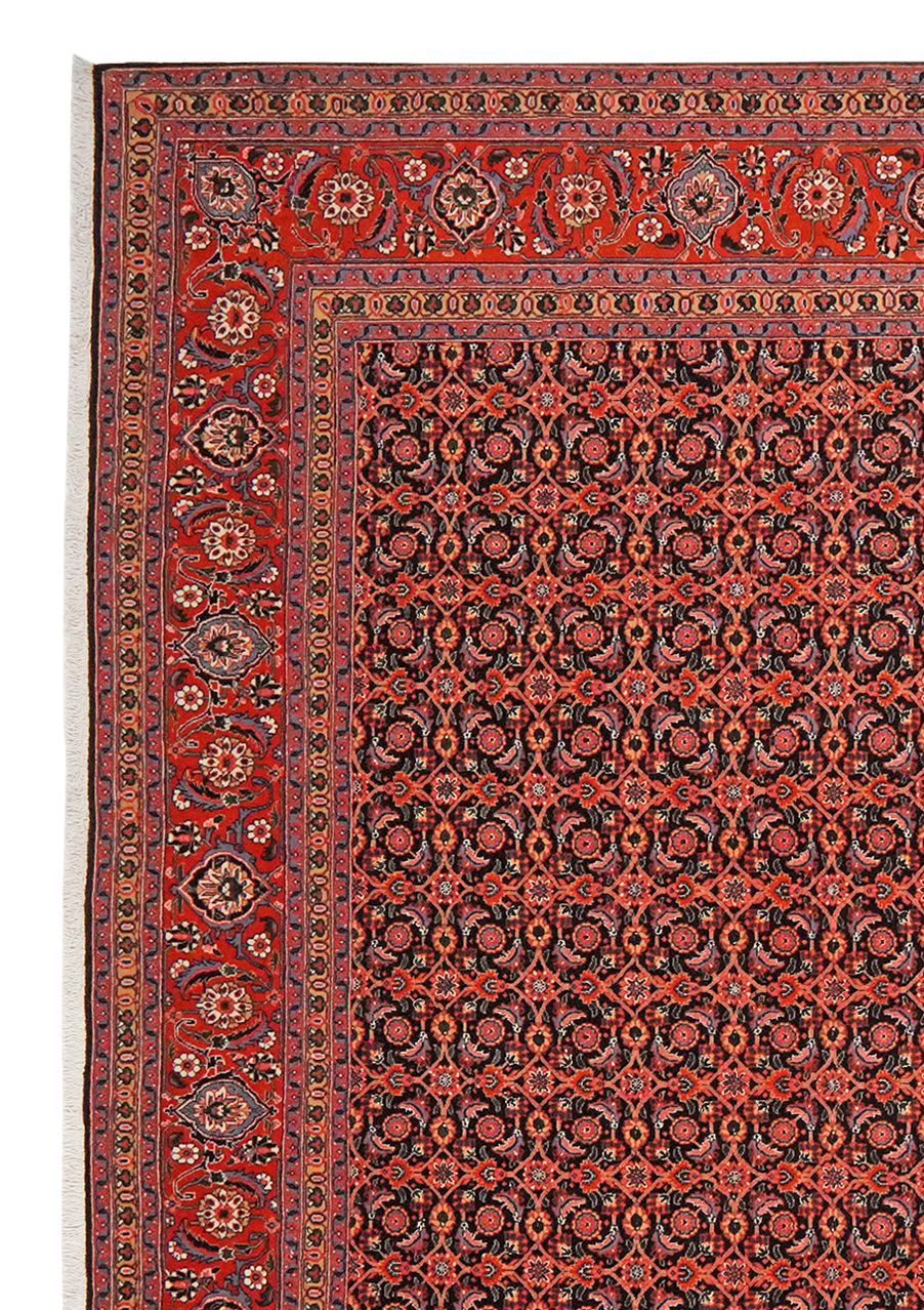 Tabriz 50 Raj — Handgefertigt, 297x202 cm, Rot, 100% Virgin Wool | View 4