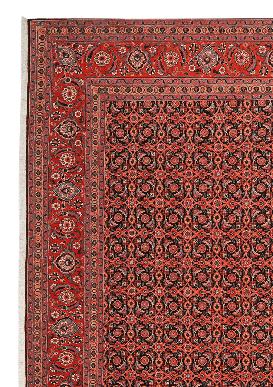 Tabriz 50 Raj — Hand-knotted, 202x297 cm, Black, 100% Virgin Wool | View 3