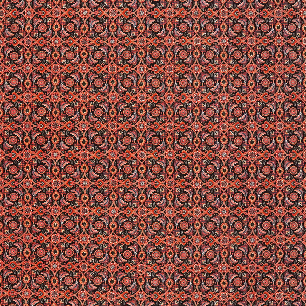 Tabriz 50 Raj — Handgefertigt, 297x202 cm, Rot, 100% Virgin Wool | View 5