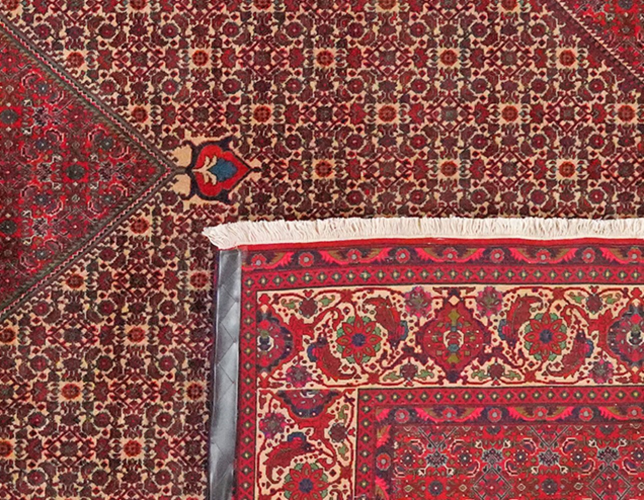 Bidjar — Hand-knotted, 258x337 cm, Beige, 100% Virgin Wool | View 6