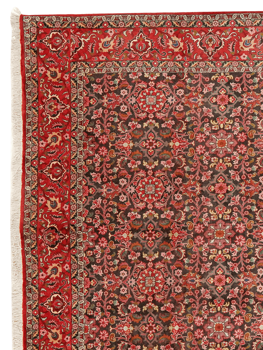 Bidjar — Hand-knotted, 197x289 cm, Black, 100% Virgin Wool | View 3