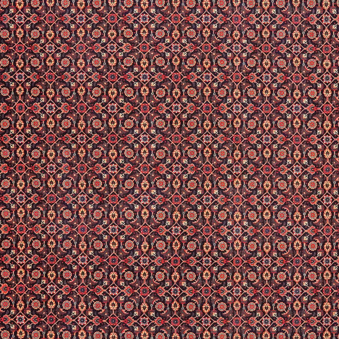 Tabriz 50 Raj — Hand-knotted, 202x309 cm, Black, 100% Virgin Wool | View 4
