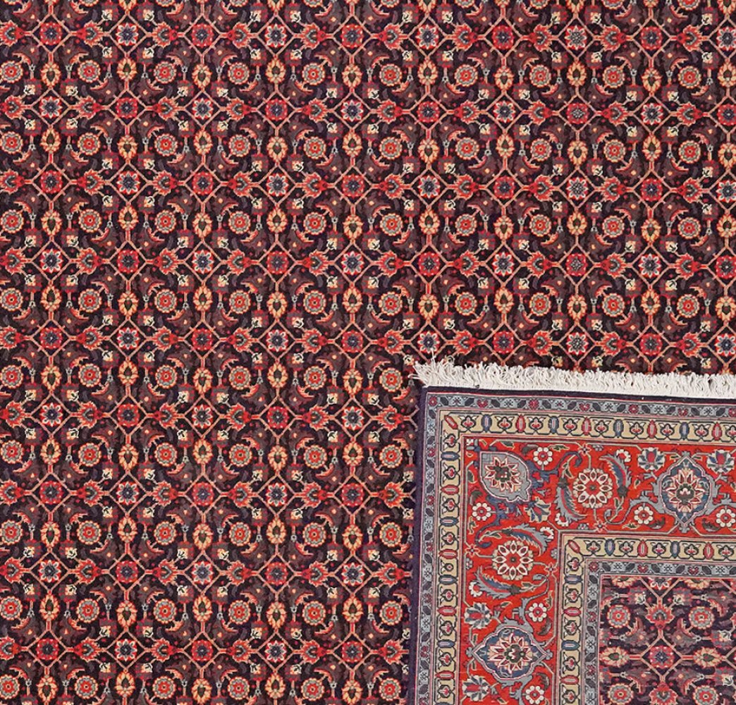 Tabriz 50 Raj — Hand-knotted, 202x309 cm, Black, 100% Virgin Wool | View 6