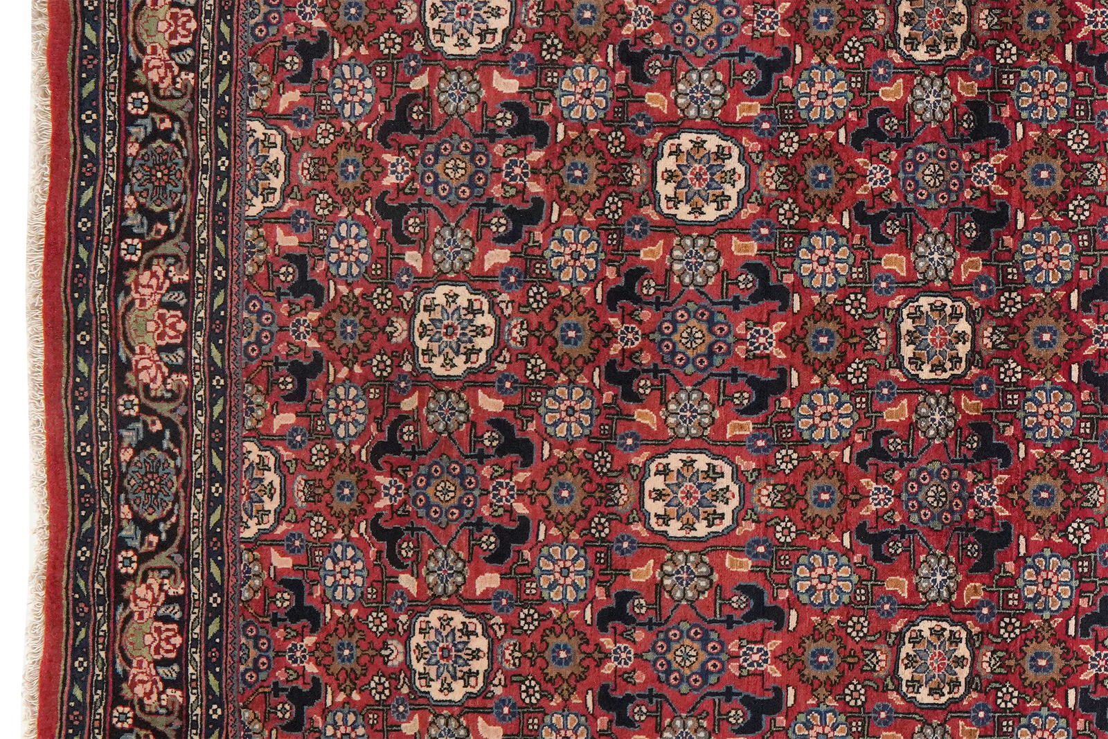 Bidjar — Handgefertigt, 217x138 cm, Blau, 100% Virgin Wool | View 4