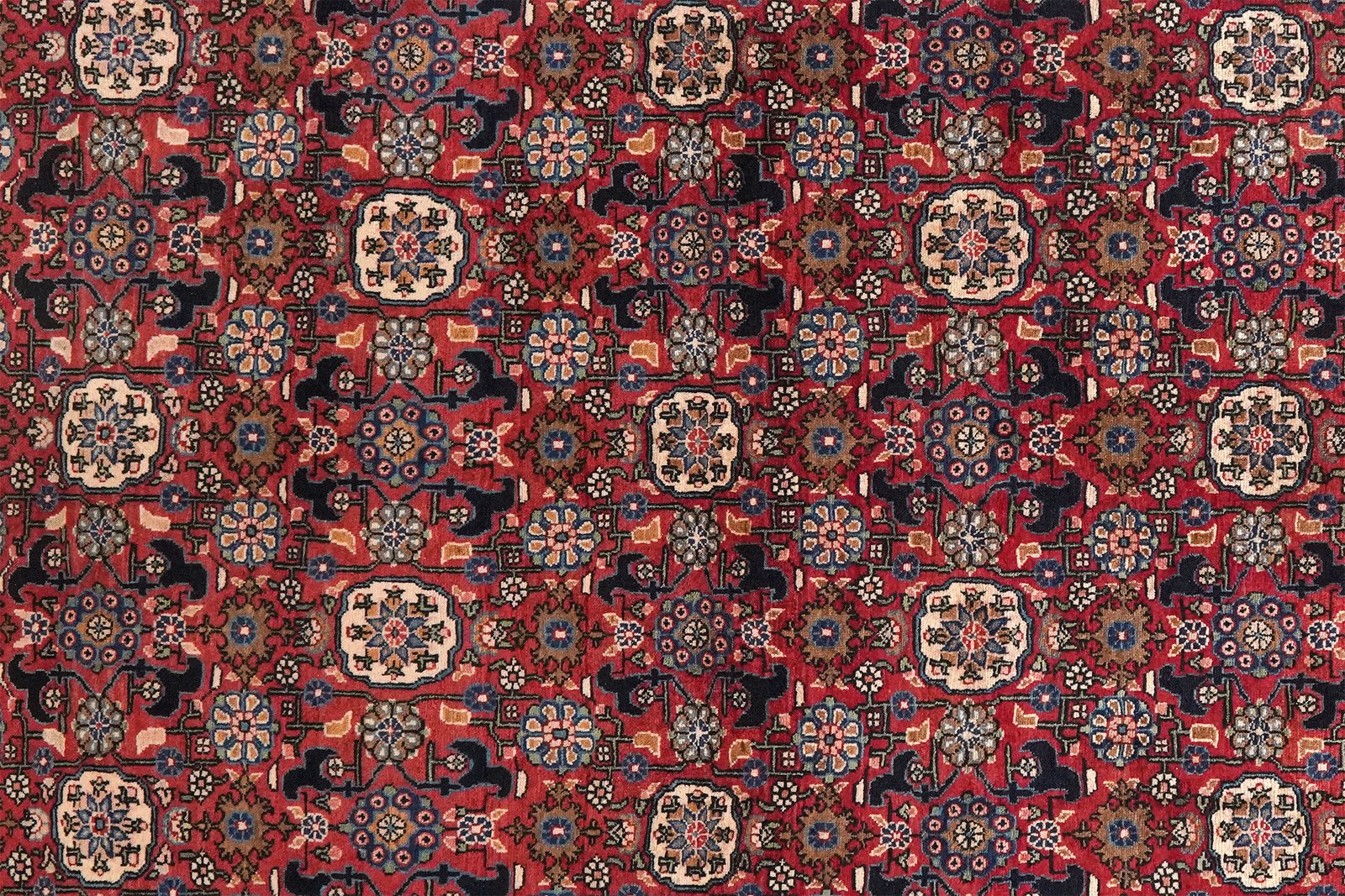 Bidjar — Hand-knotted, 138x217 cm, Red, 100% Virgin Wool | View 4