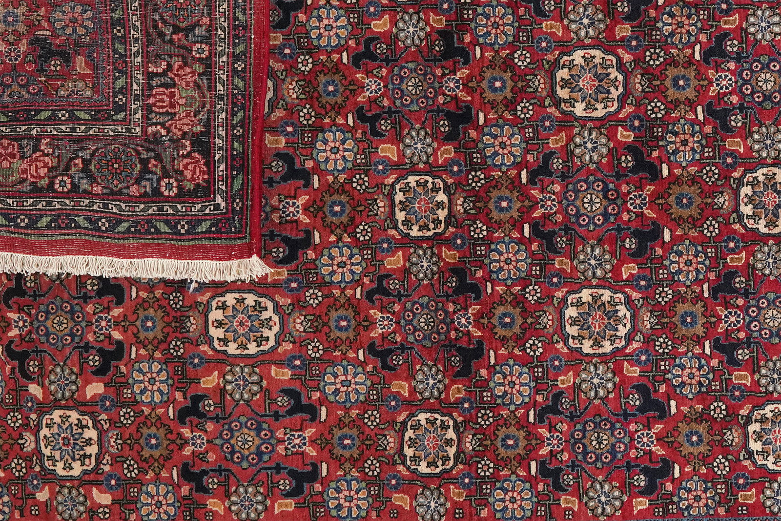 Bidjar — Handgefertigt, 217x138 cm, Blau, 100% Virgin Wool | View 6