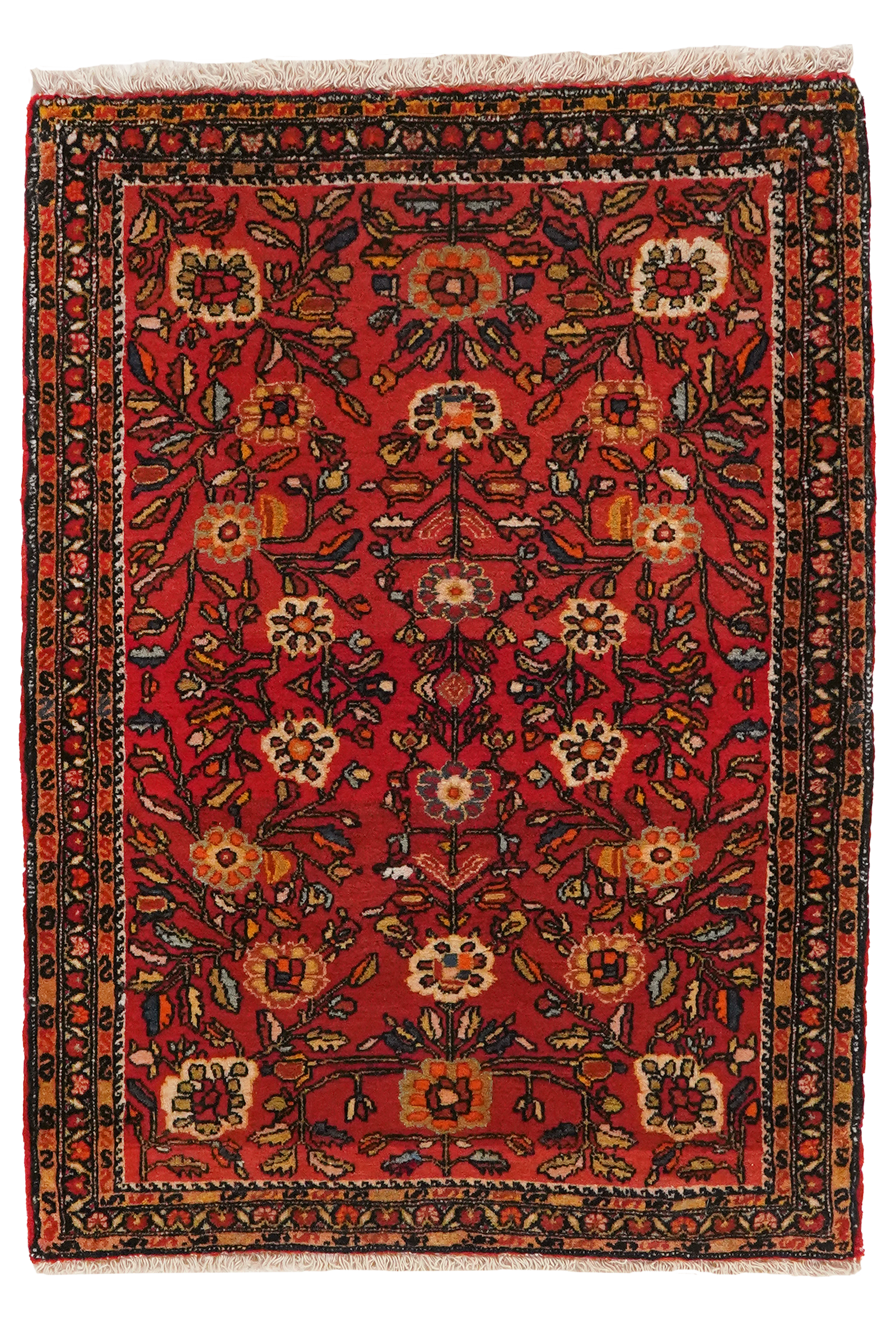 Farahan — Handgefertigt, 78x57 cm, Bunt, 100% Virgin Wool | Main view