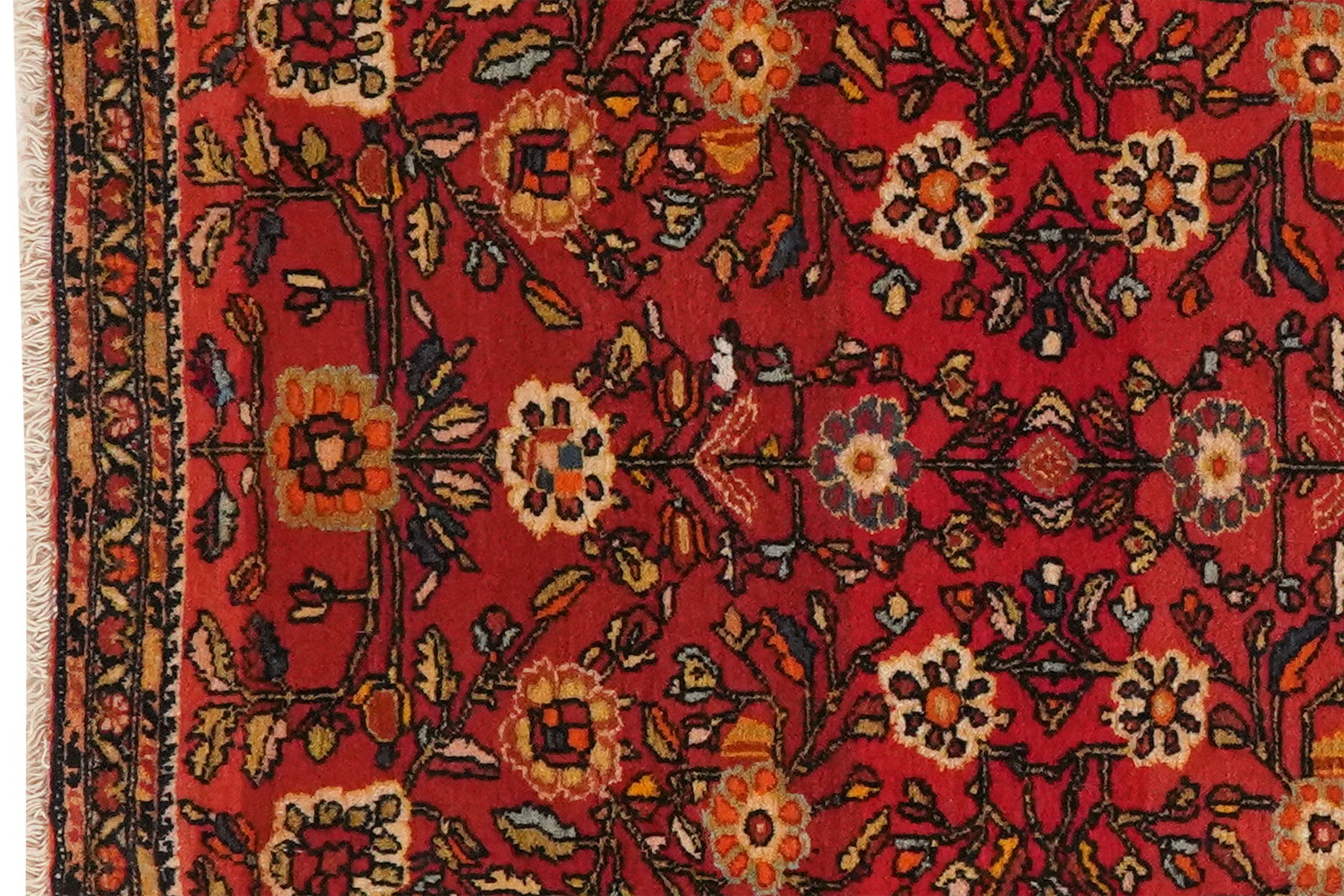Farahan — Handgefertigt, 78x57 cm, Bunt, 100% Virgin Wool | View 4