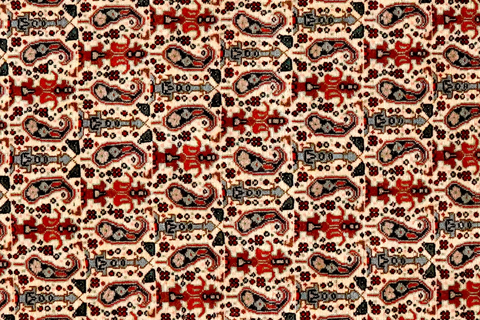 Bidjar — Hand-knotted, 117x166 cm, Beige, 100% Virgin Wool | View 4