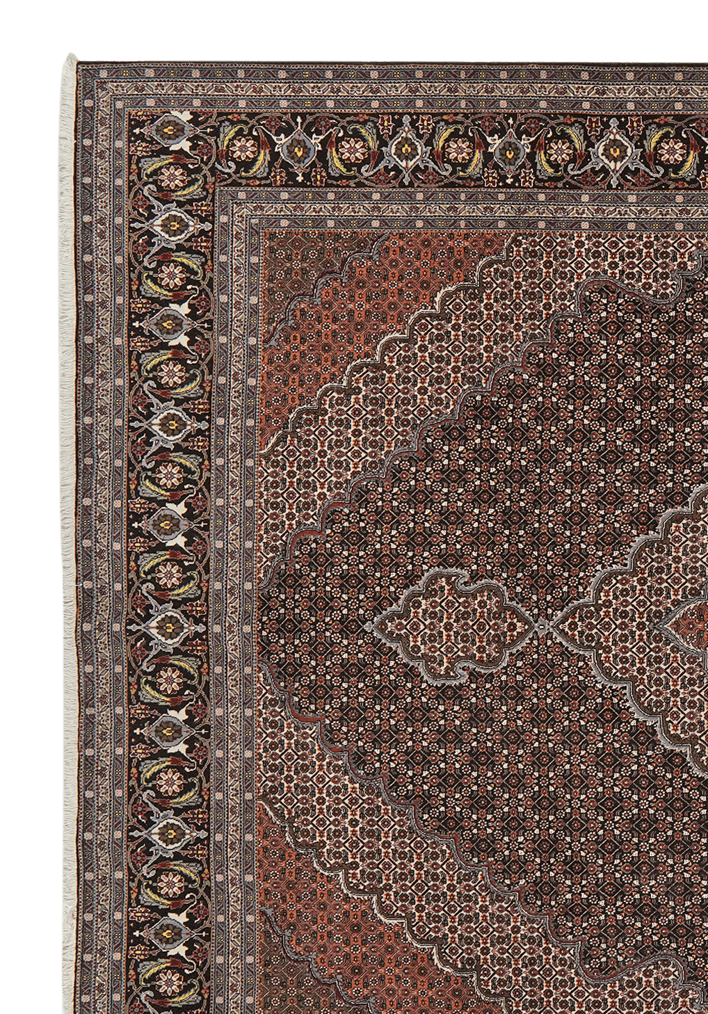 Tabriz 40 Raj — Hand-knotted, 249x340 cm, Black, 100% Virgin Wool | View 3