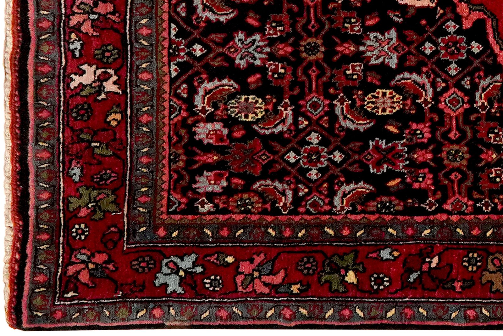 Bidjar — Hand-knotted, 110x168 cm, Multicolor, 100% Virgin Wool | View 3