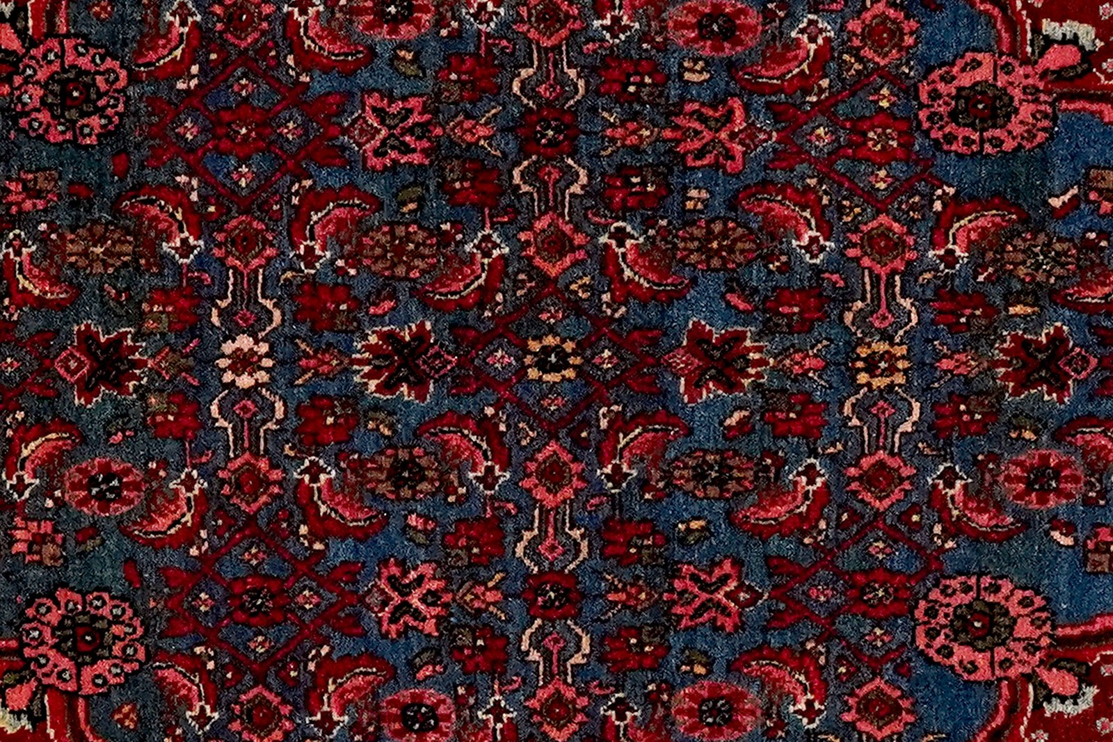 Bidjar — Hand-knotted, 110x168 cm, Multicolor, 100% Virgin Wool | View 4