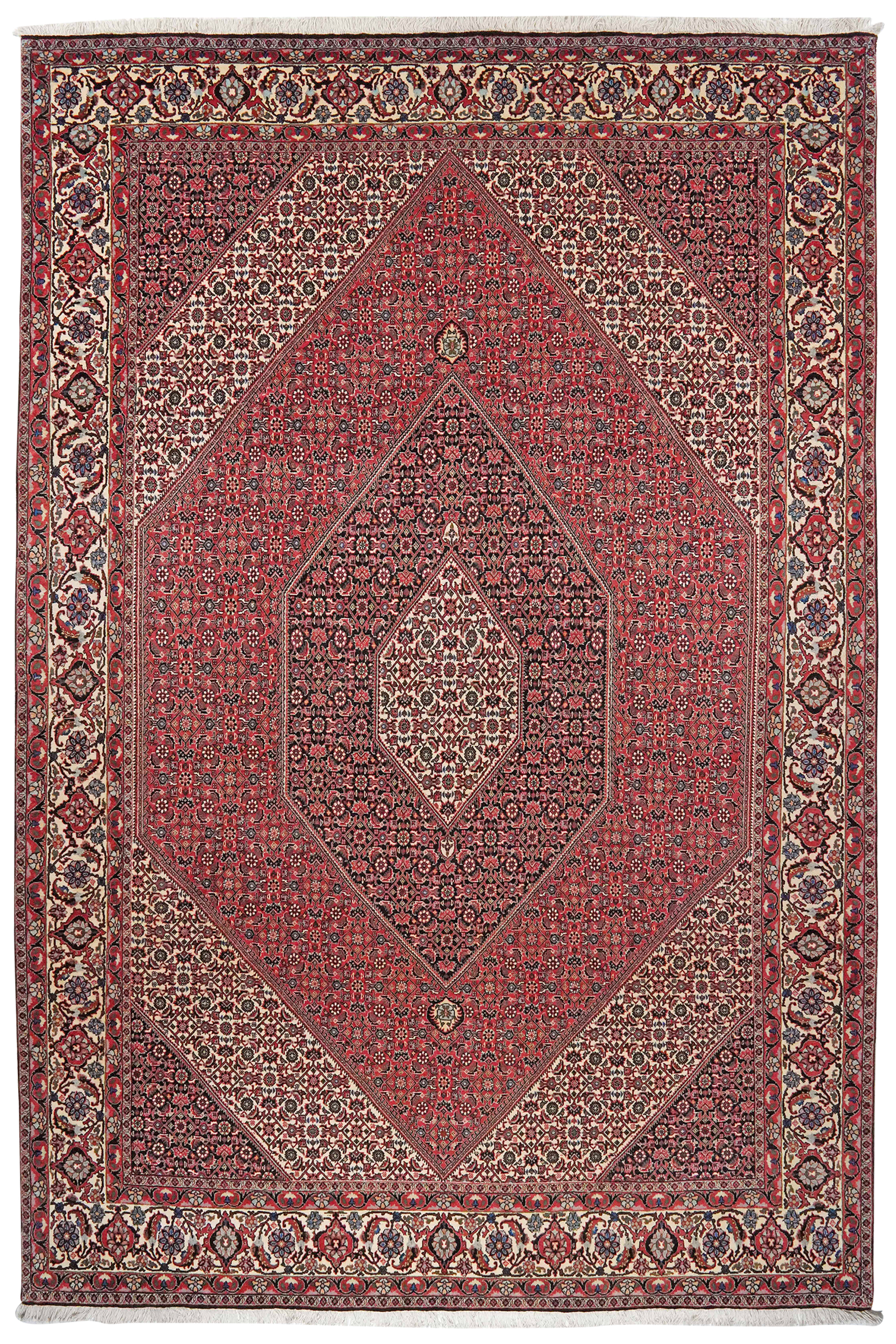 Bidjar — Handgefertigt, 302x205 cm, Beige, 100% Virgin Wool | Main view