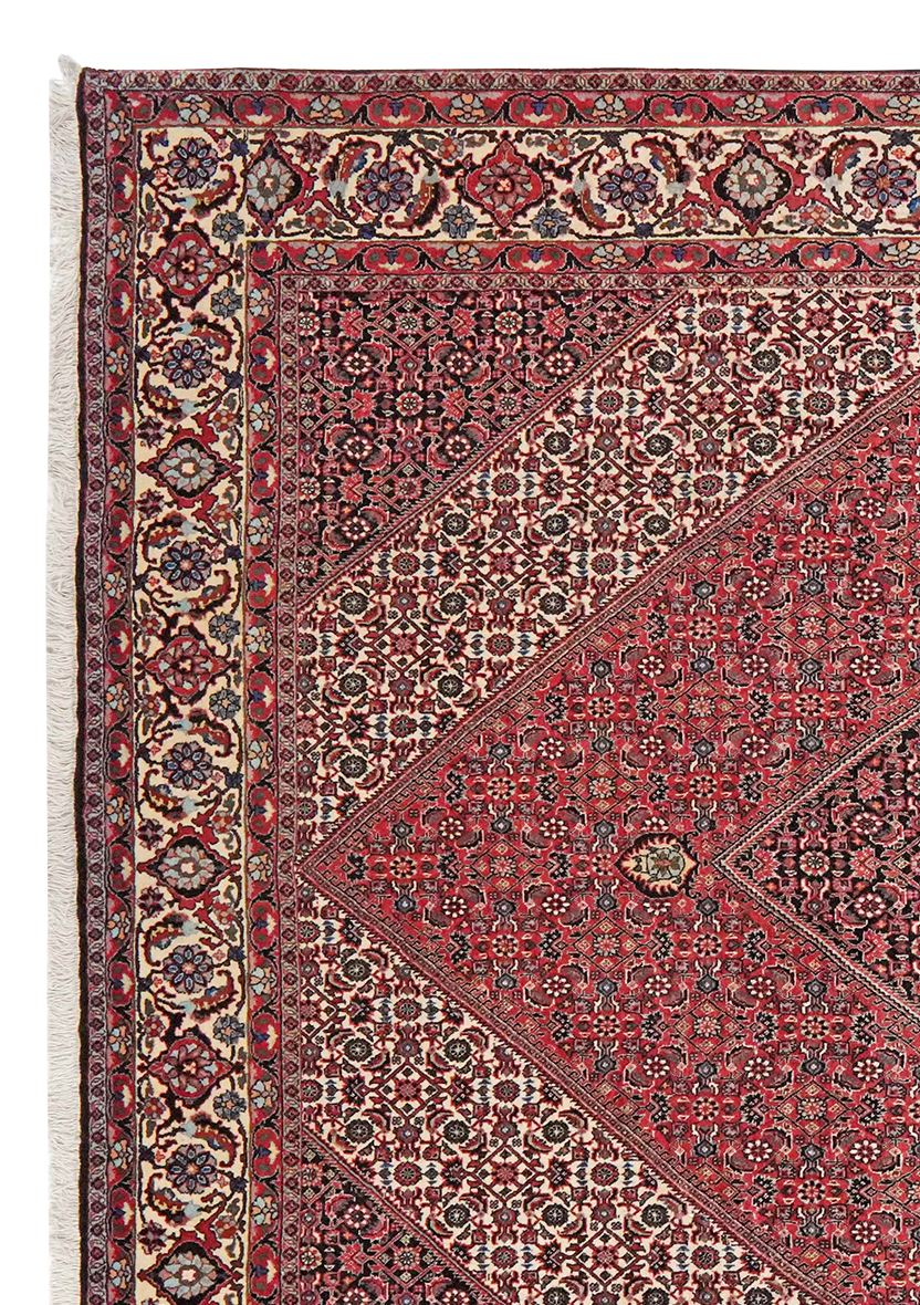 Bidjar — Handgefertigt, 302x205 cm, Beige, 100% Virgin Wool | View 4