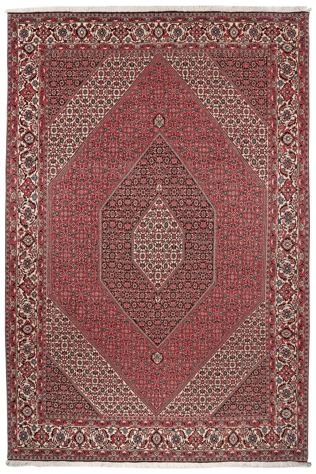 Bidjar — Hand-knotted, 205x302 cm, Red, 100% Virgin Wool | Main view