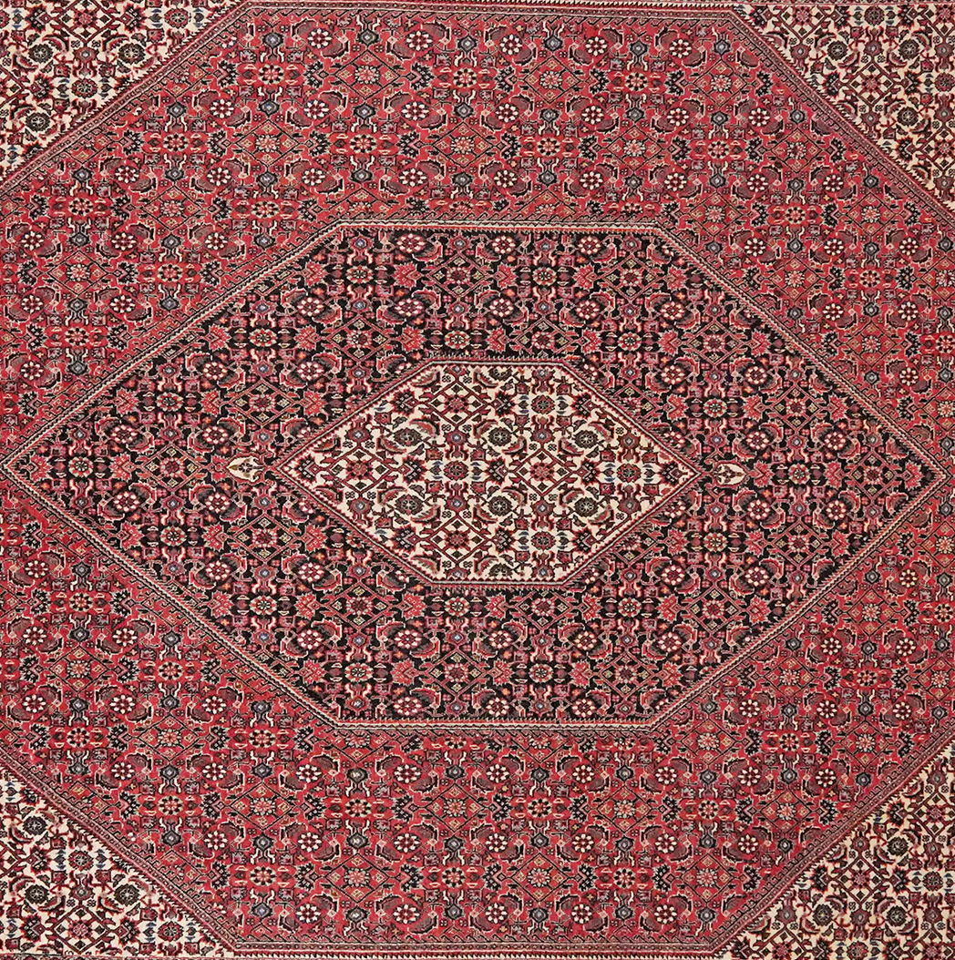 Bidjar — Handgefertigt, 302x205 cm, Beige, 100% Virgin Wool | View 5