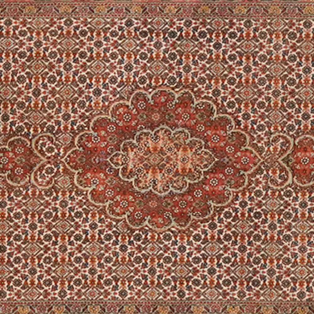 Tabriz 50 Raj — Handgefertigt, 301x83 cm, Beige, 100% Virgin Wool | View 5