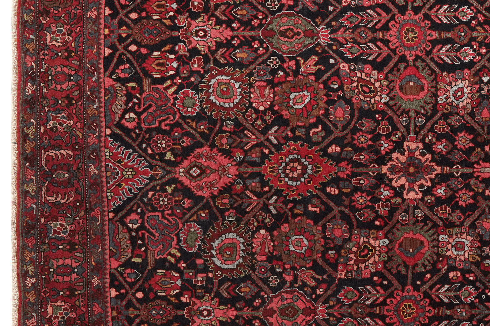 Bidjar — Hand-knotted, 146x212 cm, Blue, 100% Virgin Wool | View 3