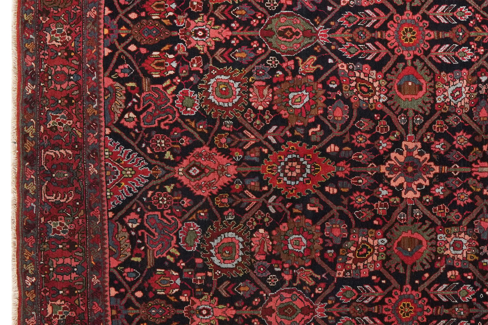 Bidjar — Handgefertigt, 212x146 cm, Rot, 100% Virgin Wool | View 4