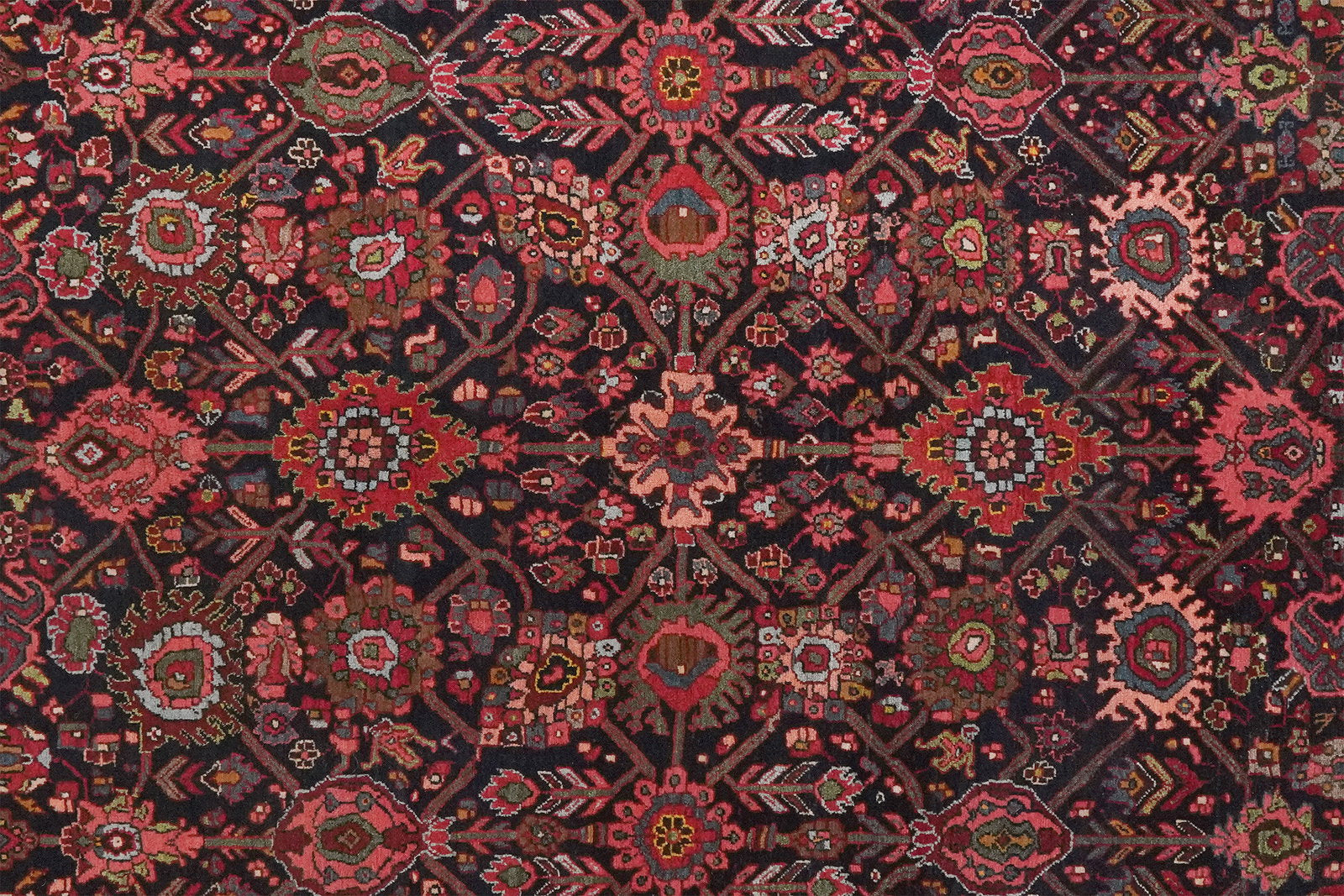 Bidjar — Handgefertigt, 212x146 cm, Rot, 100% Virgin Wool | View 5