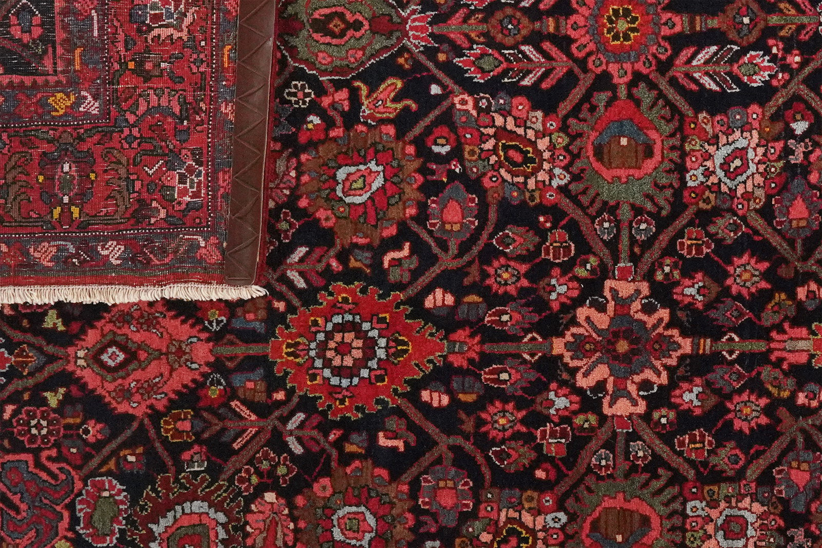 Bidjar — Handgefertigt, 212x146 cm, Rot, 100% Virgin Wool | View 6