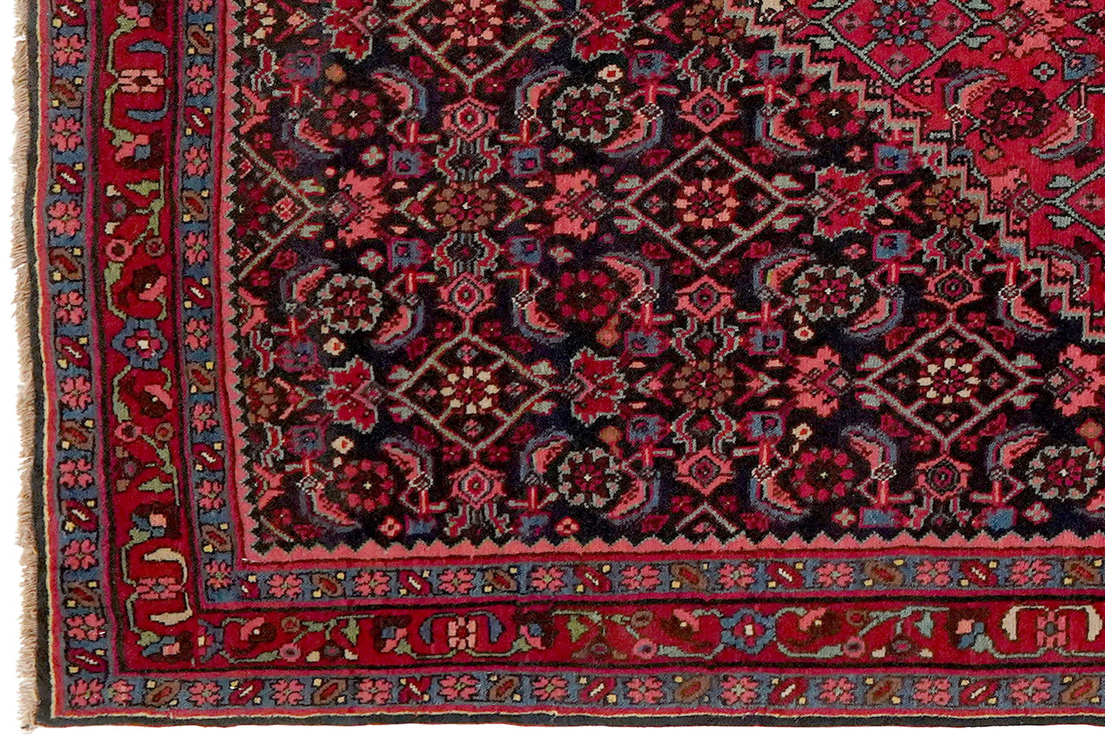 Bidjar — Handgefertigt, 158x121 cm, Rot, 100% Virgin Wool | View 4