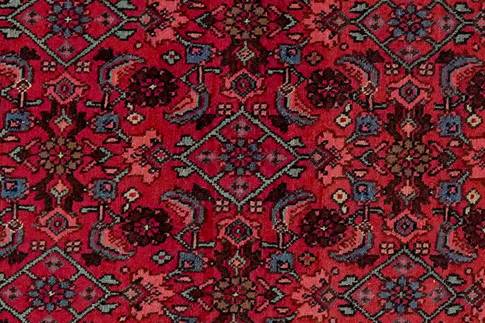 Bidjar — Handgefertigt, 158x121 cm, Rot, 100% Virgin Wool | View 5
