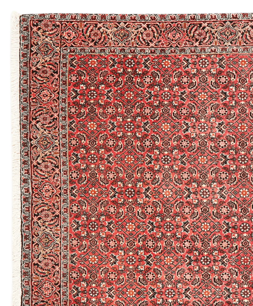 Bidjar — Hand-knotted, 111x176 cm, Red, 100% Virgin Wool | View 3